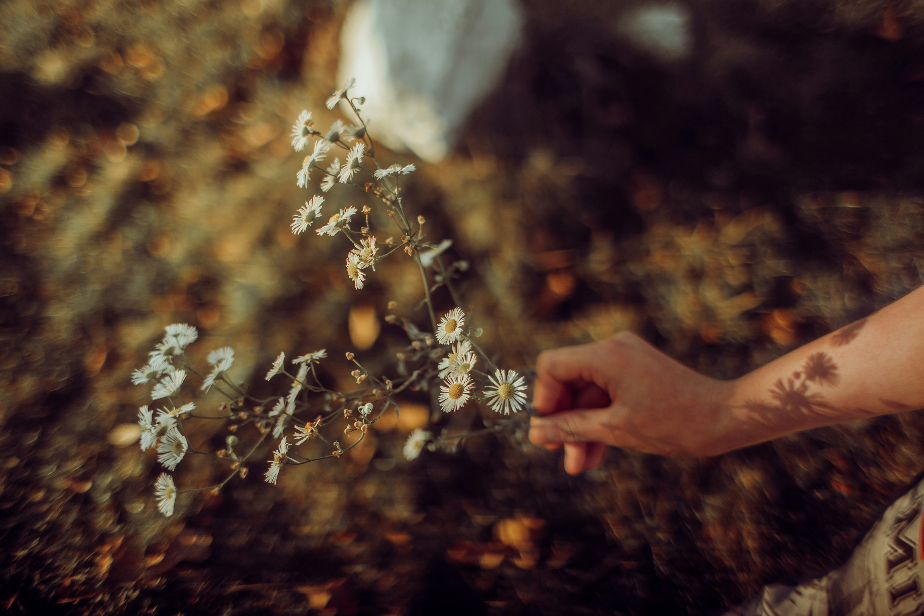 Making Product Promotion Advertisement in Audio Visual Media