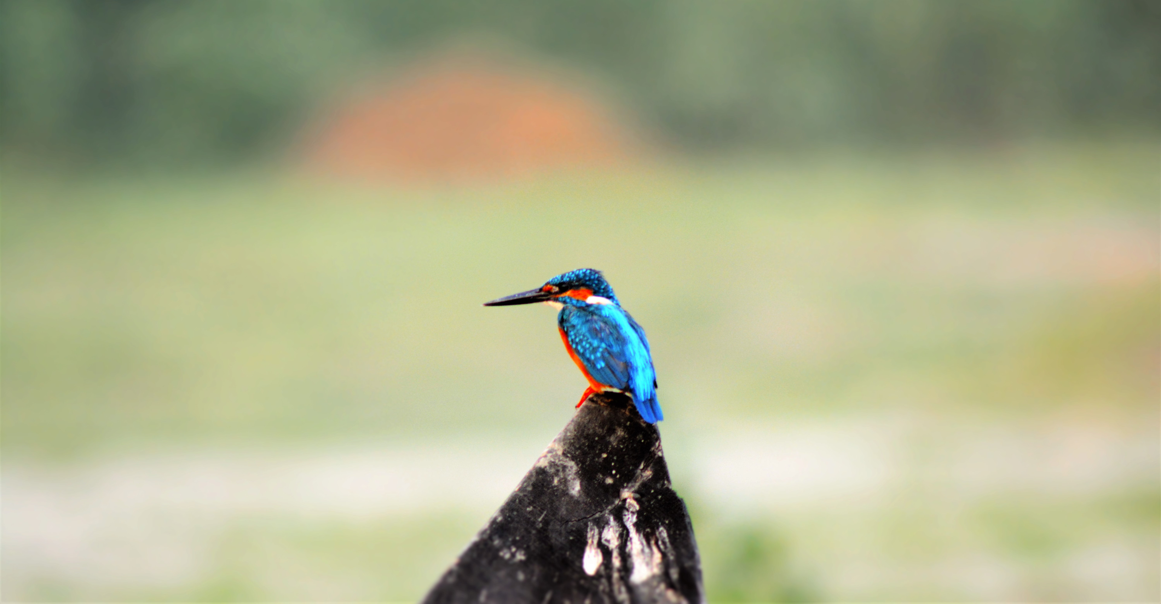 What is audio-video marketing (AVM)?